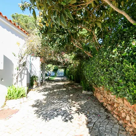 Flh Orquidea With Pool Ferienhaus *